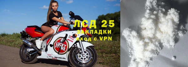 крисы Ельня