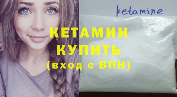 крисы Ельня
