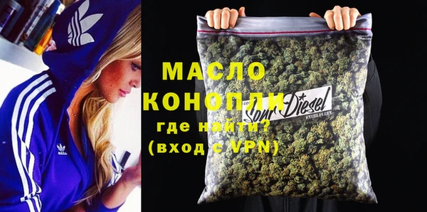 крисы Ельня