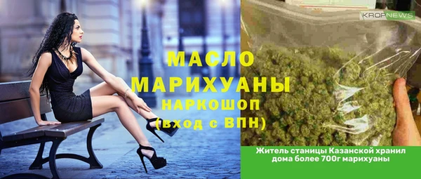 крисы Ельня