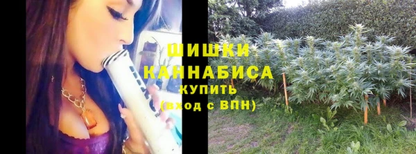 крисы Ельня