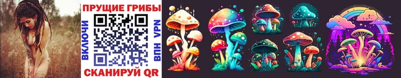 Галлюциногенные грибы Psilocybine cubensis  цены   Шумерля 